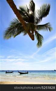 sun ligt asia in the kho tao bay isle white beach rocks boat thailand and south china sea anchor