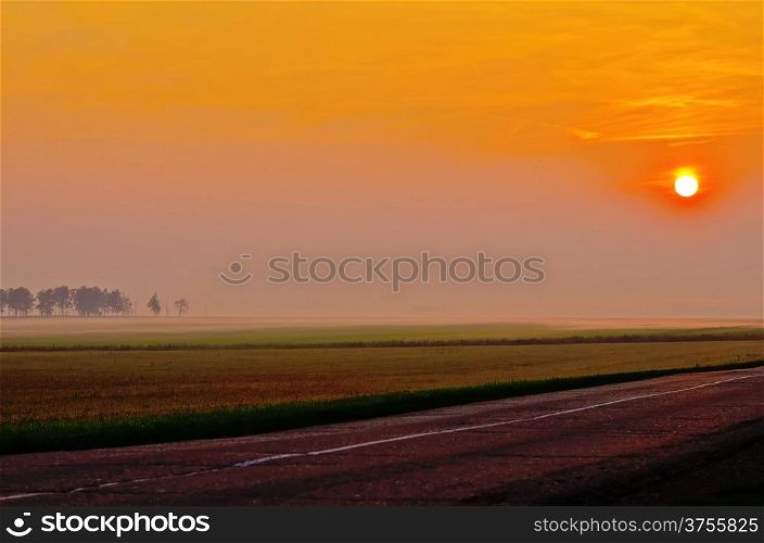 Sun, orange sky, field, silhouettes of trees in the fog, the highway at dawn