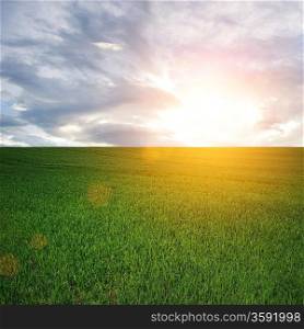 Sun over a field