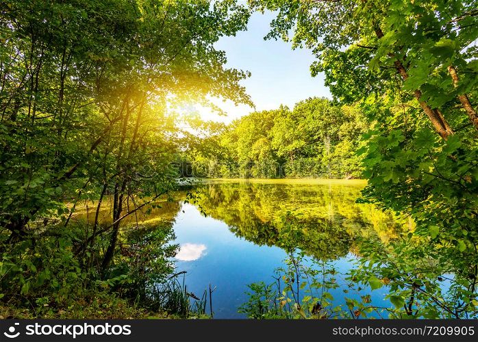 Sun over lake in the forest in summer. Sun over lake in forest
