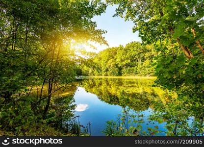 Sun over lake in the forest in summer. Sun over lake in forest
