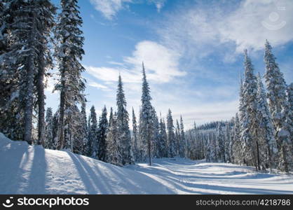 Sun Peaks Ski Resort, Kamloops, BC, Canada