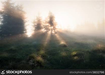 Sun rays at foggy mountains morning