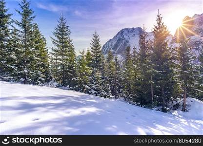 Sun rays over snowy alpine scenery - Winter landscape where everything is covered in snow, the glades, the fir forest and the Austrian Alps peaks, but warmed up by a beautiful bright sun.