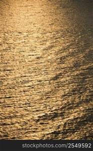 Sun reflecting golden on Atlantic ocean.