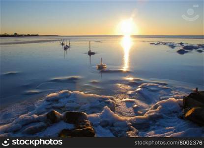 Sun reflections at the coastal ice by the Baltic Sea