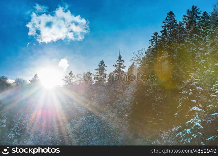 Sun rising from the mountain with forest. Winter landscape with white snow trees