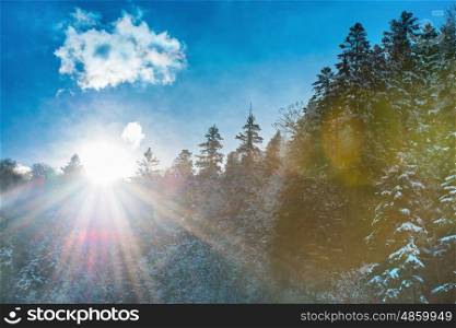 Sun rising from the mountain with forest. Winter landscape with white snow trees