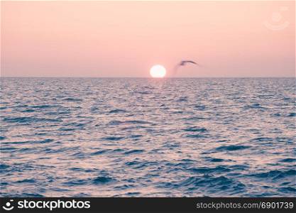 Sun rising over ocean horizon, Florida, USA