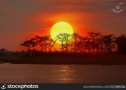 sun set or sun rise view with silhouette tree dramatic sky , abstract nature background