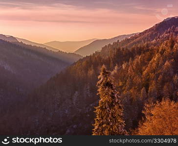 Sun setting in valley in Smokies as snow covers the branches of trees