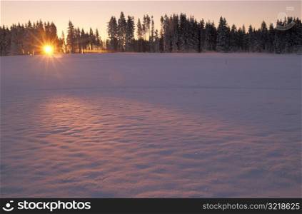 Sun Setting on Snowy Field