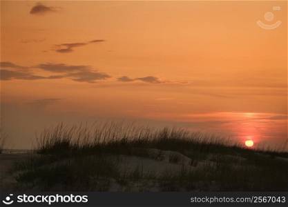 Sun setting over beach sand dune on Bald Head Island, North Carolina.