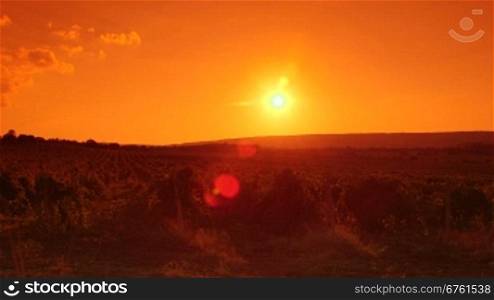 Sun setting over vineyard valley