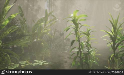 Sun shining through trees and fog in a tropical river