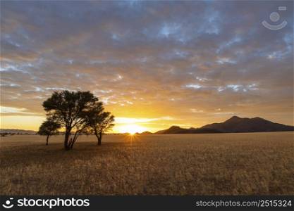 Sun starburst at sunrise color the clouds yellow Namibia