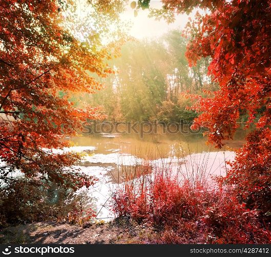 Sunbeams over calm river in the autumn