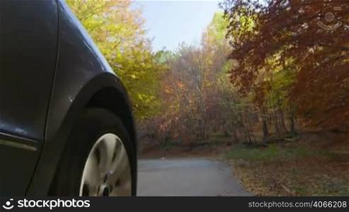 Sunday drive in autumn spinning front wheel PoV, low angle hot head camera
