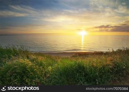 Sundown composition. Sky, sea, and green grass.