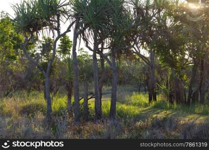 Sundown inTyto Wetlands, Queensland,Australia