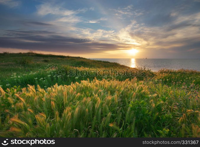 Sundown landscape composition. Sky, sea, and green grass.