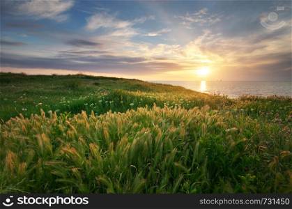 Sundown landscape composition. Sky, sea, and green grass.