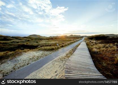 Sundown over dense green bush on coastal dunes with boardwalk leading to calm Sunset with glowing sky on a moody evening. Landscape on Amrum, North Frisian Islands, Schleswig-Holstein, Germany