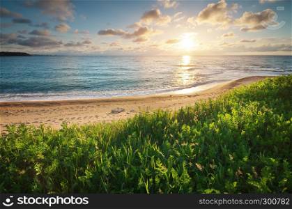 Sundown seascape composition. Sky, sea, and green grass. Relax on the sea.