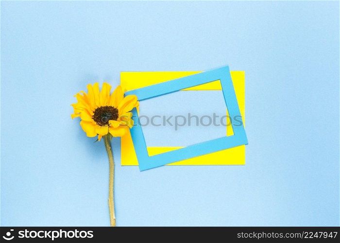 sunflower frames