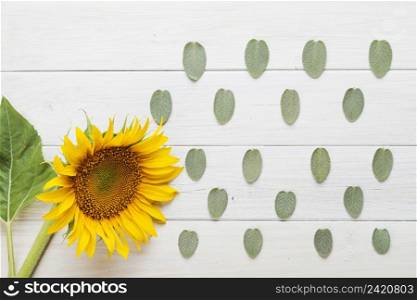 sunflower leaves ornament