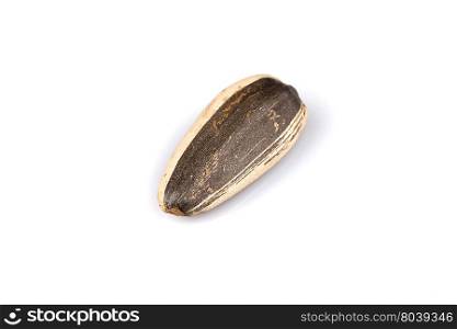 sunflower seed close up isolated on white background
