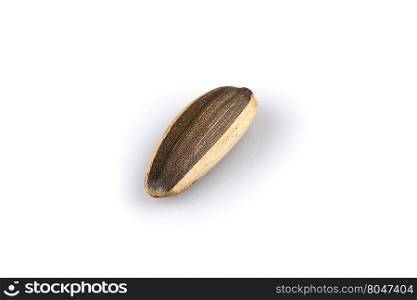 sunflower seed close up isolated on white background