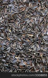 sunflower seed in pattern food background