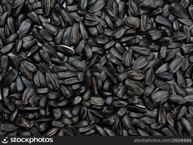 sunflower seeds background