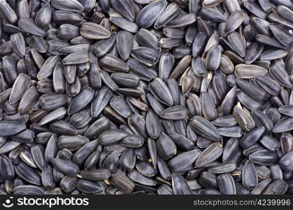 Sunflower seeds for backgrounds or textures