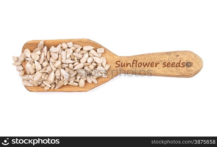 Sunflower seeds on shovel