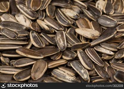 sunflower seeds pile close up shots for background
