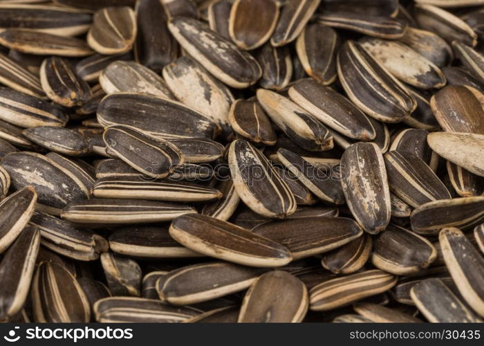 sunflower seeds pile close up shots for background