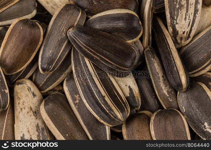 sunflower seeds pile close up shots for background