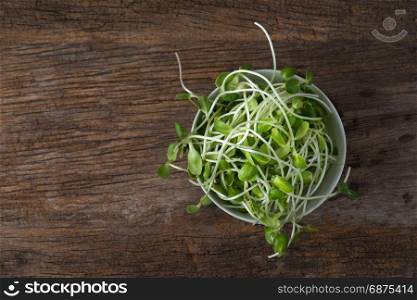 sunflower sprout in white bowl