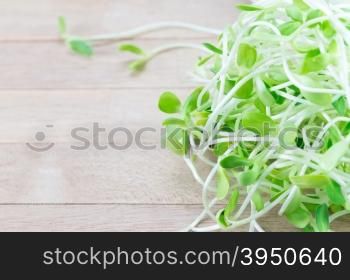 Sunflower sprouts on wood background&#xA;