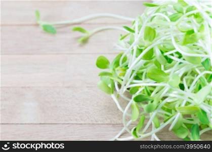 Sunflower sprouts on wood background&#xA;