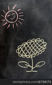 Sunflower under the sun drawn with chalk on a blackboard