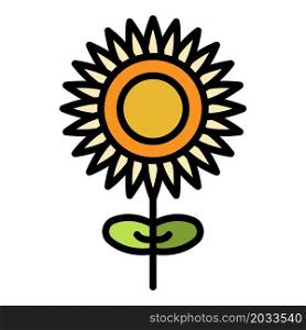 Sunflower with a stem icon. Outline sunflower with a stem vector icon color flat isolated. Sunflower with a stem icon color outline vector