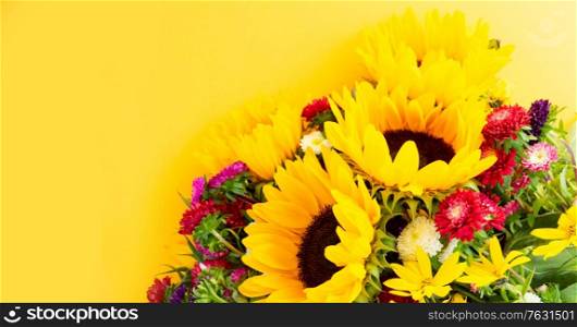 Sunflowers and aster fresh flowers, top view on yellow background, top view, naturall fall flowers background banner. Sunflowers on white