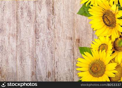 sunflowers are on the wooden background.