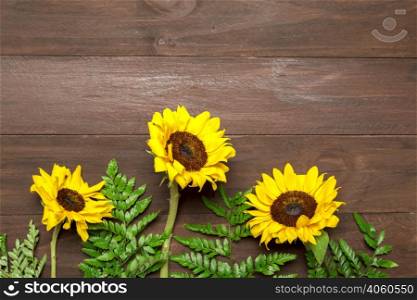 sunflowers fern leaves wooden background