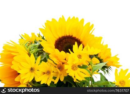 Sunflowers fresh flowers bouquet close up isoltaed on white background. Sunflowers on white
