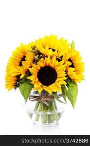 Sunflowers in a vase over white
