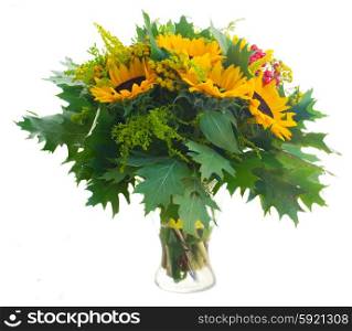 Sunflowers with green leaves . Bouquet of sunflowers with green leaves isolated on white background